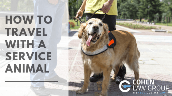 How To Travel With A Service Animal