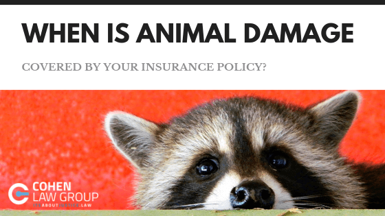 When Is Animal Damage Covered By Your Insurance Policy?