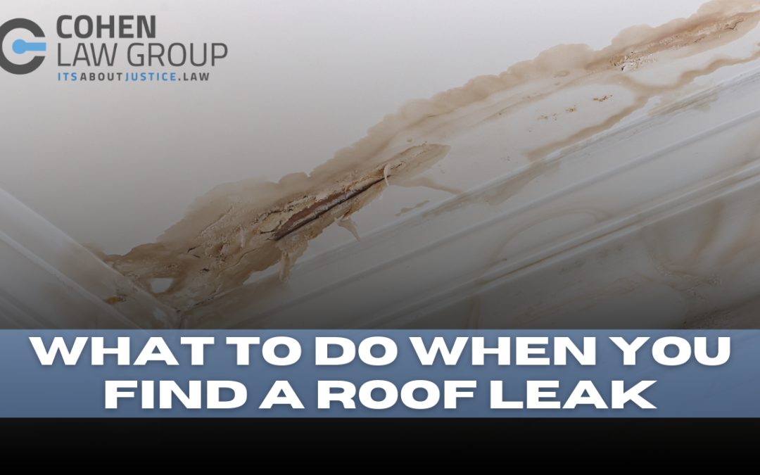 What to do When You Discover a Roof Leak